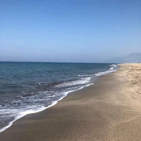 Zeytin, Lavanta, Kalkan