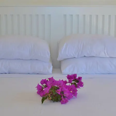 Zeytin, Lavanta, Kalkan