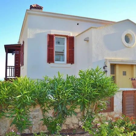 Zeytin, Lavanta, Villa